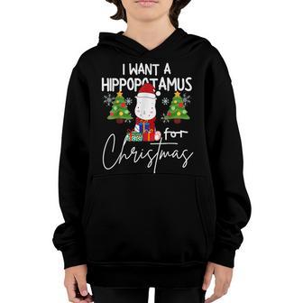 I Want A Hippopotamus For Christmas Xmas Hippo For Kid Women V54 Youth Hoodie - Thegiftio UK