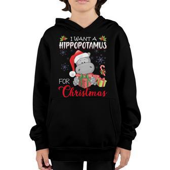 I Want A Hippopotamus For Christmas Xmas Hippo For Kid Women V7 Youth Hoodie - Thegiftio UK