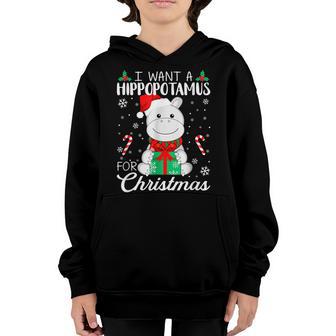 I Want A Hippopotamus For Christmas Xmas Hippo Gift For Kids Youth Hoodie - Thegiftio UK
