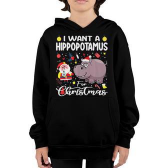 I Want A Hippopotamus For Christmas Xmas Santa Men Women Kid V2 Youth Hoodie - Thegiftio UK