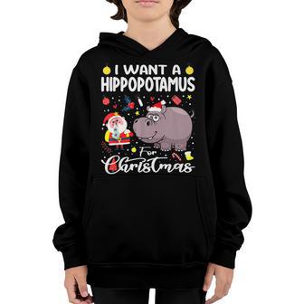 I Want A Hippopotamus For Christmas Xmas Santa Men Women Kid Youth Hoodie - Thegiftio UK