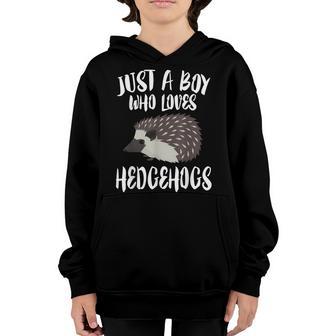 Just A Boy Who Loves Hedgehogs Owner Lover Gift Youth Hoodie - Thegiftio UK