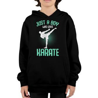 Just A Boy Who Loves Karate Kids Boys Youth Hoodie | Mazezy