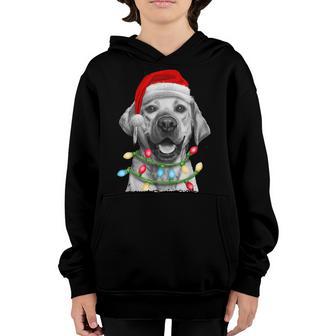 Labrador Santa Christmas Tree Lights Xmas Boys Dog Dogmas Youth Hoodie - Thegiftio UK