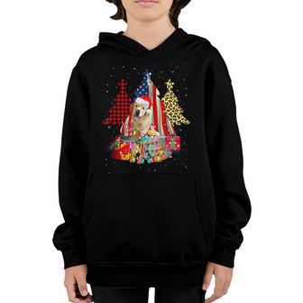 Labrador Santa Christmas Tree Lights Xmas Boys Men Corgmas Youth Hoodie - Thegiftio UK