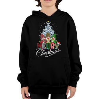 Merry Christmas Gnome Family Christmas For Women Men Kids V8 Youth Hoodie - Thegiftio UK