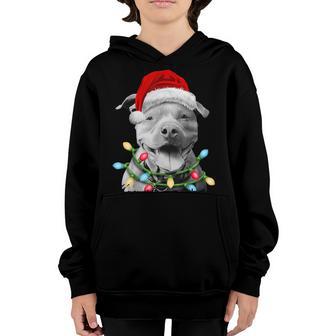 Pit Bull Santa Christmas Tree Lights Xmas Boys Dog Dogmas Youth Hoodie - Thegiftio UK
