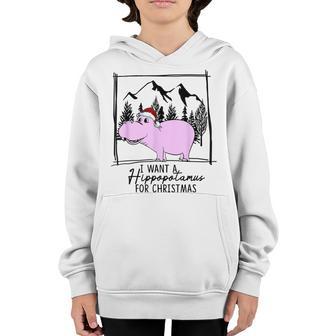I Want A Hippopotamus For Christmas Xmas Hippo For Kid Women V11 Youth Hoodie - Thegiftio UK