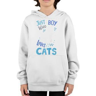 Kids Cat Just A Boy Who Loves Cats Gift For Cat Lovers Youth Hoodie | Mazezy