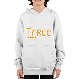 Kids Im Three Birthday Year 2016 Celebrate Gift Youth Hoodie - Thegiftio UK