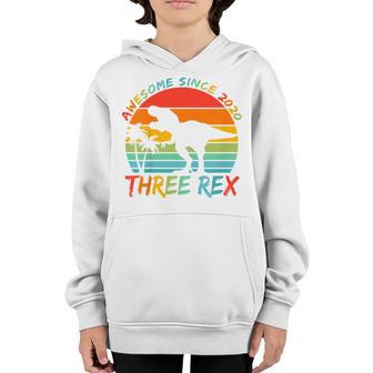 Kids Three Rex 3Rd Birthday Gifts Third Dinosaur 3 Year Old Boy V7 Youth Hoodie - Thegiftio UK