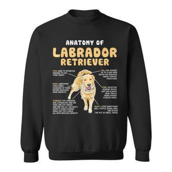Anatomy Of Labrador Retriever Lovers Funny Lab Owners Men Women Sweatshirt Graphic Print Unisex - Seseable