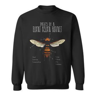 Asian Giant Hornet Japanese Black Bee Insect Anatomy Drawing Men Women Sweatshirt Graphic Print Unisex - Seseable