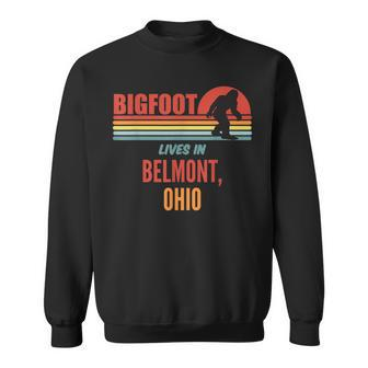 Bigfoot-Sichtung In Belmont Ohio Sweatshirt - Seseable