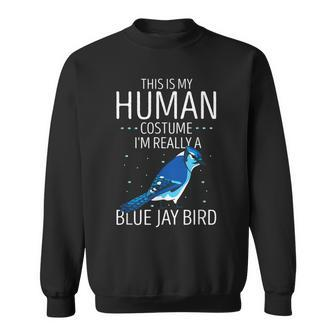 Blauhäher Menschliches Kostüm Sweatshirt, Stellers Jay Tierisches Design - Seseable