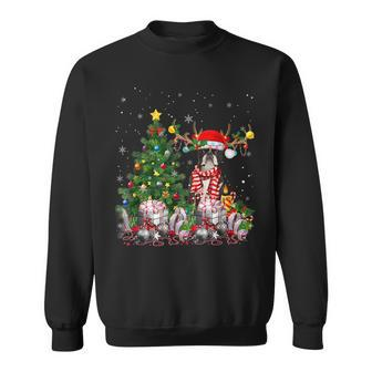 Boston Terrier Dog Lover Matching Santa Christmas Tree Men Women Sweatshirt Graphic Print Unisex - Seseable