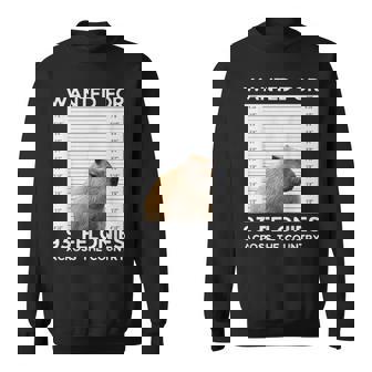 Capybara Hot Wanted For 93 Felonies Across The Country Men Women Sweatshirt Graphic Print Unisex - Thegiftio