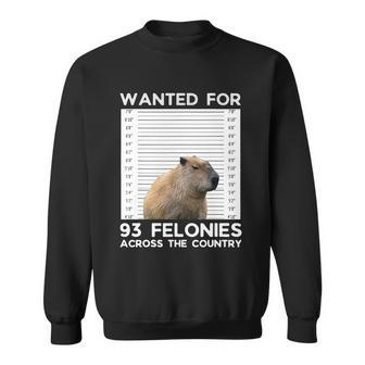 Capybara Mugshot Wanted For 93 Felonies Across The Country V2 Sweatshirt - Monsterry