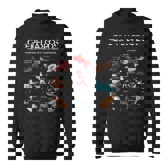 Cephalopods Oceanography Sea Creature Octopus Squid Sweatshirt | Mazezy