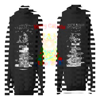 Cute Ragdoll Cat Lovers Funny Holiday Tree Christmas Men Women Sweatshirt Graphic Print Unisex - Thegiftio