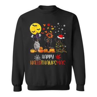 Dachshund Halloween Happy Hallothanksmas Autumn Thanksgiving Men Women Sweatshirt Graphic Print Unisex - Thegiftio UK