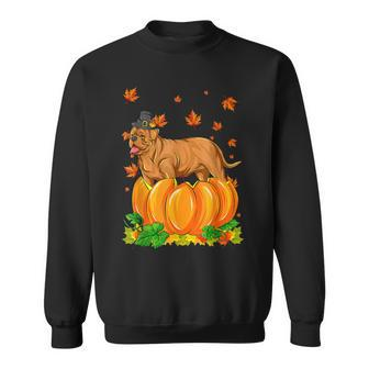 Dogue De Bordeaux Dog Happy Thanksgiving Pumpkin Fall Autumn Men Women Sweatshirt Graphic Print Unisex - Thegiftio UK
