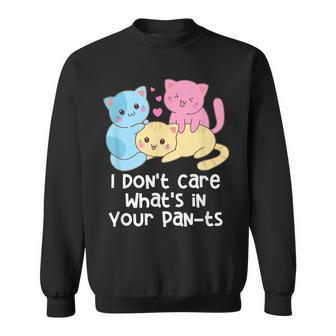Dont Care In Your Pants Pansexual Lgbtq Pan Pride Funny Sweatshirt | Mazezy