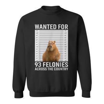 Funny Capybara Hot For 93 Felonies Hilarious Capybara Sweatshirt | Mazezy