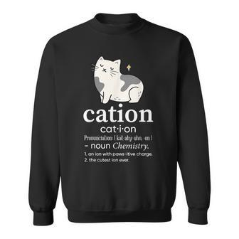 Funny Cat Cation An Lon With Paws-Itive Charge Cat Lover Sweatshirt - Thegiftio UK