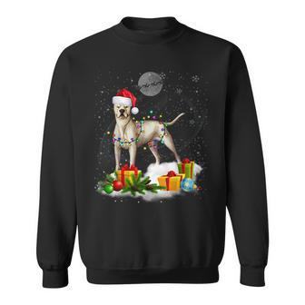 Funny Dogo Argentino Dog Christmas Lights Santa Hat Xmas Men Women Sweatshirt Graphic Print Unisex - Seseable