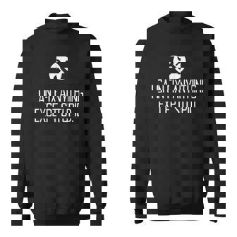 Funny Garage  I Can Fix Anything Except Stupid Sweatshirt