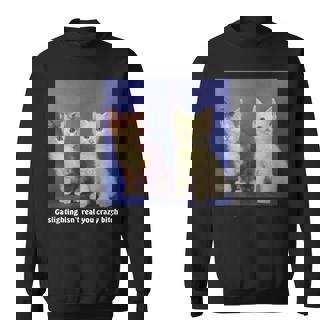 Gaslighting Isnt Real You Crazy BITCH Funny Cat Lover Sweatshirt | Mazezy