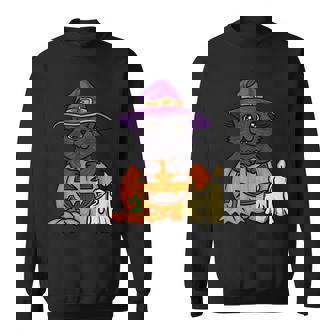Halloween Cat Cute Cat Spooky Halloween Cat Men Women Sweatshirt Graphic Print Unisex - Thegiftio
