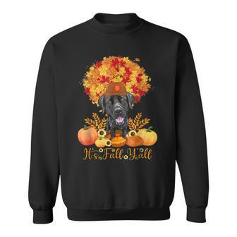 Halloween Thanksgiving Its Fall Yall Labrador Black Lab Men Women Sweatshirt Graphic Print Unisex - Thegiftio UK