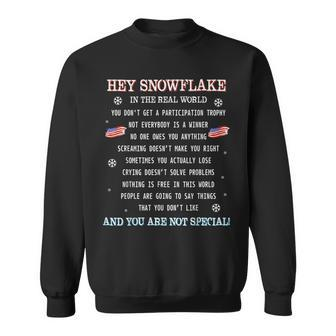 Hey Snowflake In The Real World Proud Veteran T Sweatshirt - Seseable