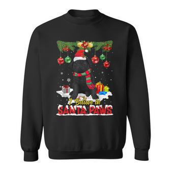 I Believe In Santa Paws Pug Christmas Ornaments Gifts Funny V2 Men Women Sweatshirt Graphic Print Unisex - Thegiftio UK