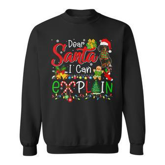I Can Explain Funny Christmas Santa Dachshund Lover Family Men Women Sweatshirt Graphic Print Unisex - Seseable