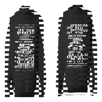 I Never Dreamed That Someday Billiards Pool Billiards Cue V7 Sweatshirt - Thegiftio