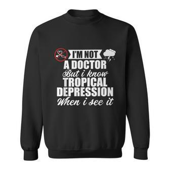 Im Not A Doctor But I Know Tropical Depression When I See It Meteorologist Men Women Sweatshirt Graphic Print Unisex - Thegiftio UK