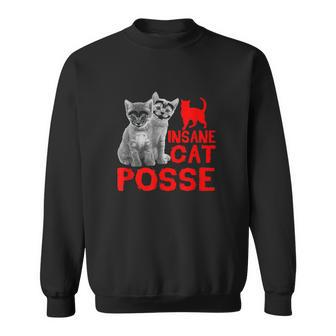 Insane Cat Posse Funny Apparel For Cat Lovers Sweatshirt - Thegiftio UK