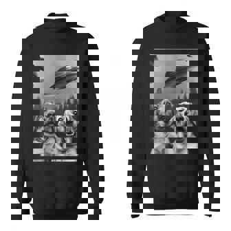 Labrador Selfie Funny Two Scaredy-Dogs And Ufos In Forest Sweatshirt - Thegiftio