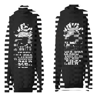 Mens Lion Dad Like A Regular Dad Funny Lion Fathers Day Sweatshirt - Thegiftio UK