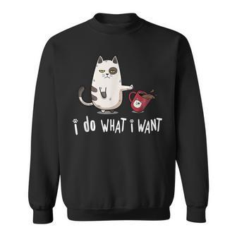 Meow I Do What I Want Vintage Black Cat Red Cup Funny My Cat Sweatshirt | Mazezy
