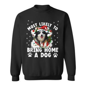 Most Likely To Bring Home A Dog Lover Christmas Men Women Sweatshirt Graphic Print Unisex - Seseable