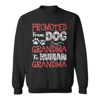 Mother Grandma Promoted From Dog Grandma To Human Grandma 215 Mom Grandmother Sweatshirt - Monsterry