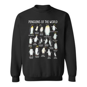 Penguins Of The World Zookeeper Sea Animal Penguin Lovers Sweatshirt | Mazezy