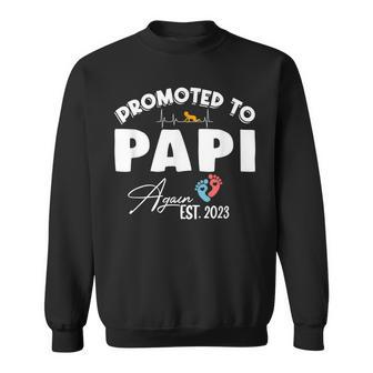 Promoted To Papi Est 2023 First Time Dad Fathers Day Sweatshirt | Mazezy