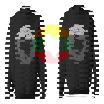 Proud Texan-Lithuanian Heritage From Texas Lithuania Home Sweatshirt | Mazezy