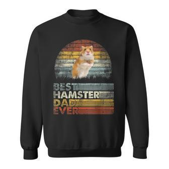 Retro Best Hamster Dad Ever Farm Pet Animals Lover Sweatshirt - Seseable
