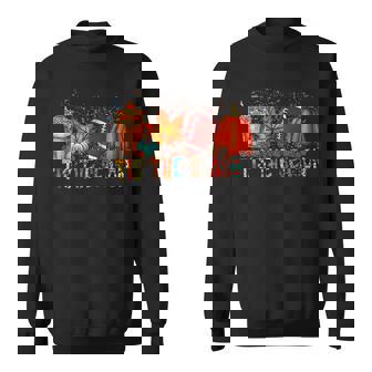 Tis The Season Leopard Pumpkin Football Halloween Fall Men Women Sweatshirt Graphic Print Unisex - Thegiftio